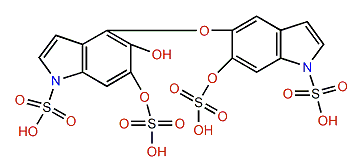 Bisancorinolate B